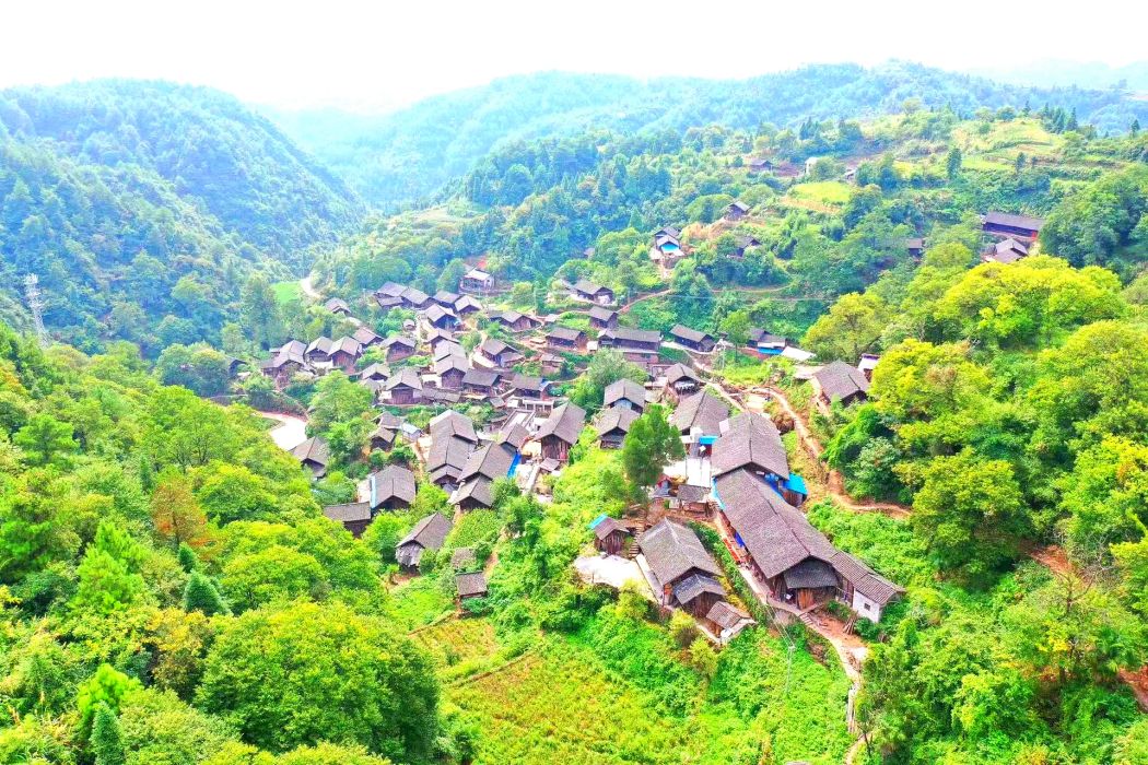 楊柳村(湖南省湘西土家族苗族自治州吉首市馬頸坳鎮下轄村)