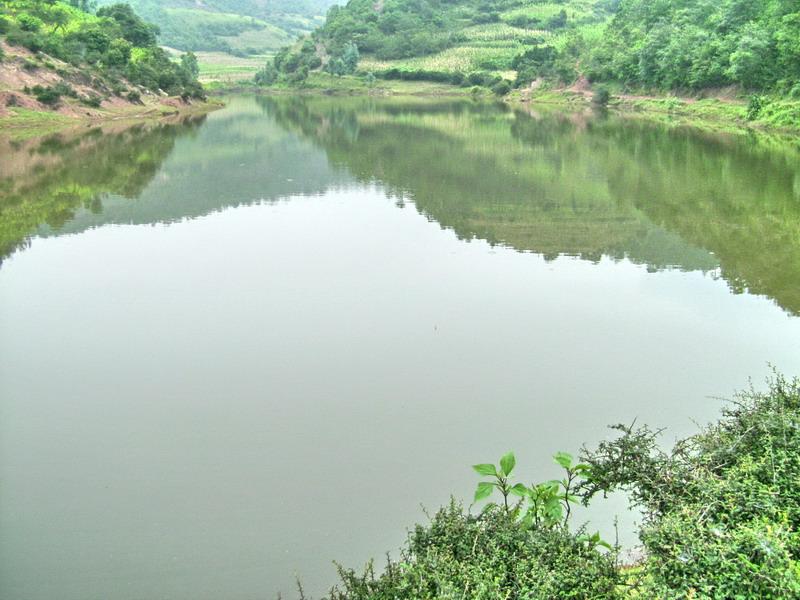 大白者樂大村