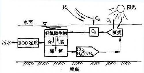 穩定塘(氧化塘)