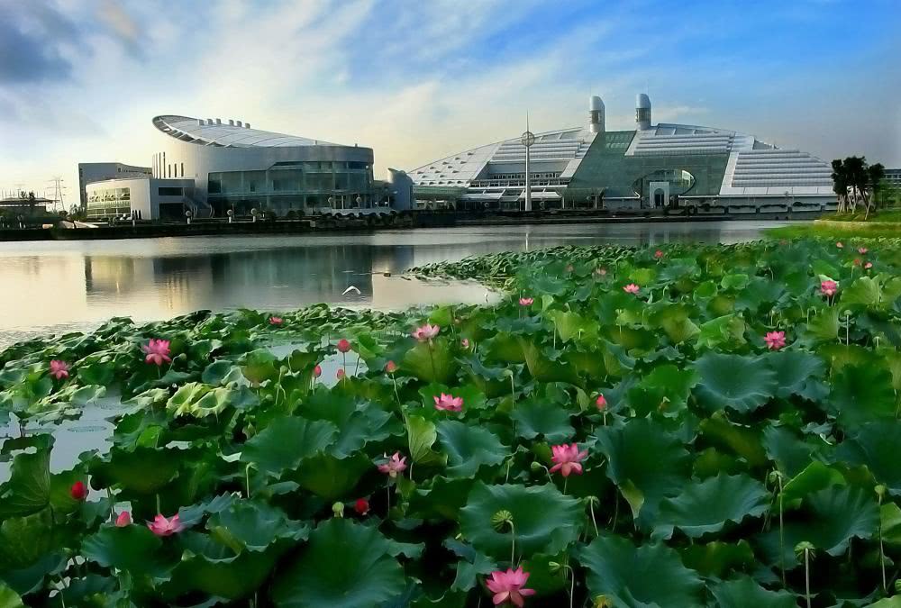 浙江大學社會學系