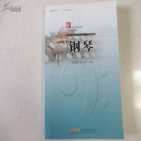 鋼琴：二(2008年安徽文藝出版社出版的圖書)