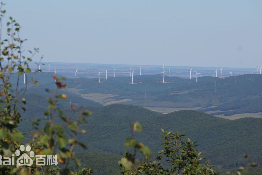 黑龍江樺川國家森林公園