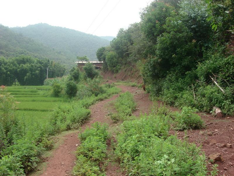 楚雄市鹿城鎮山咀子村委會麥地坪村進村道路