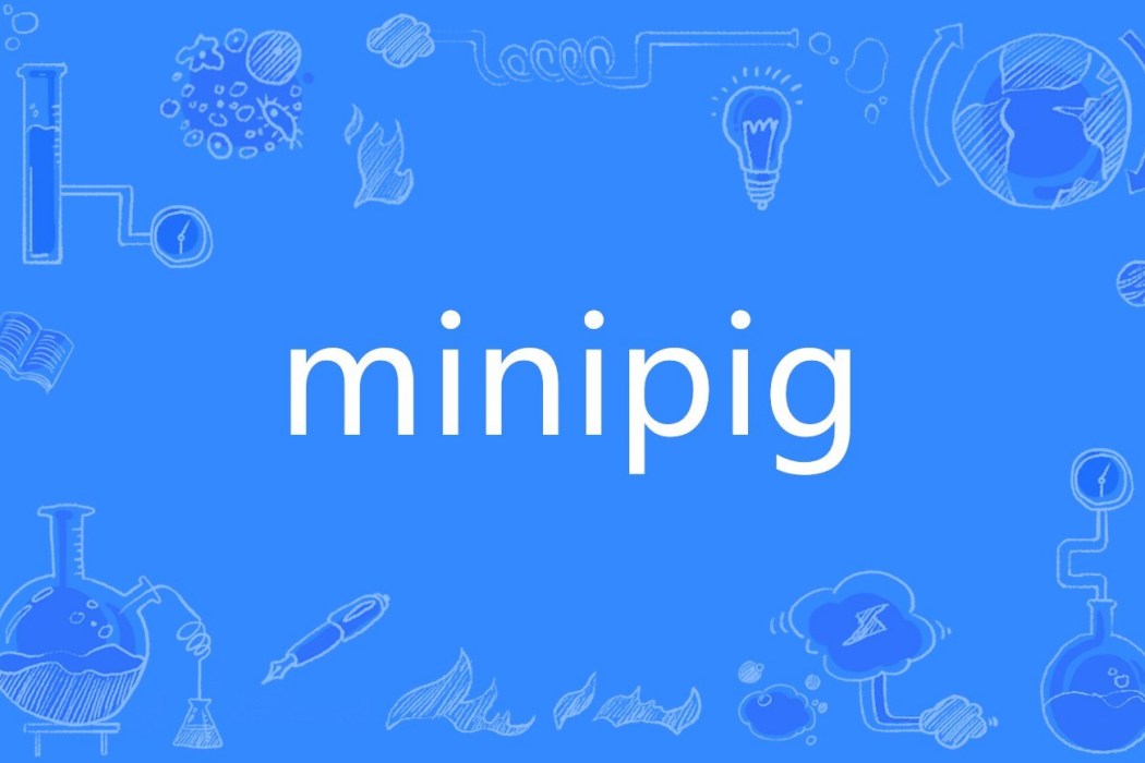 minipig