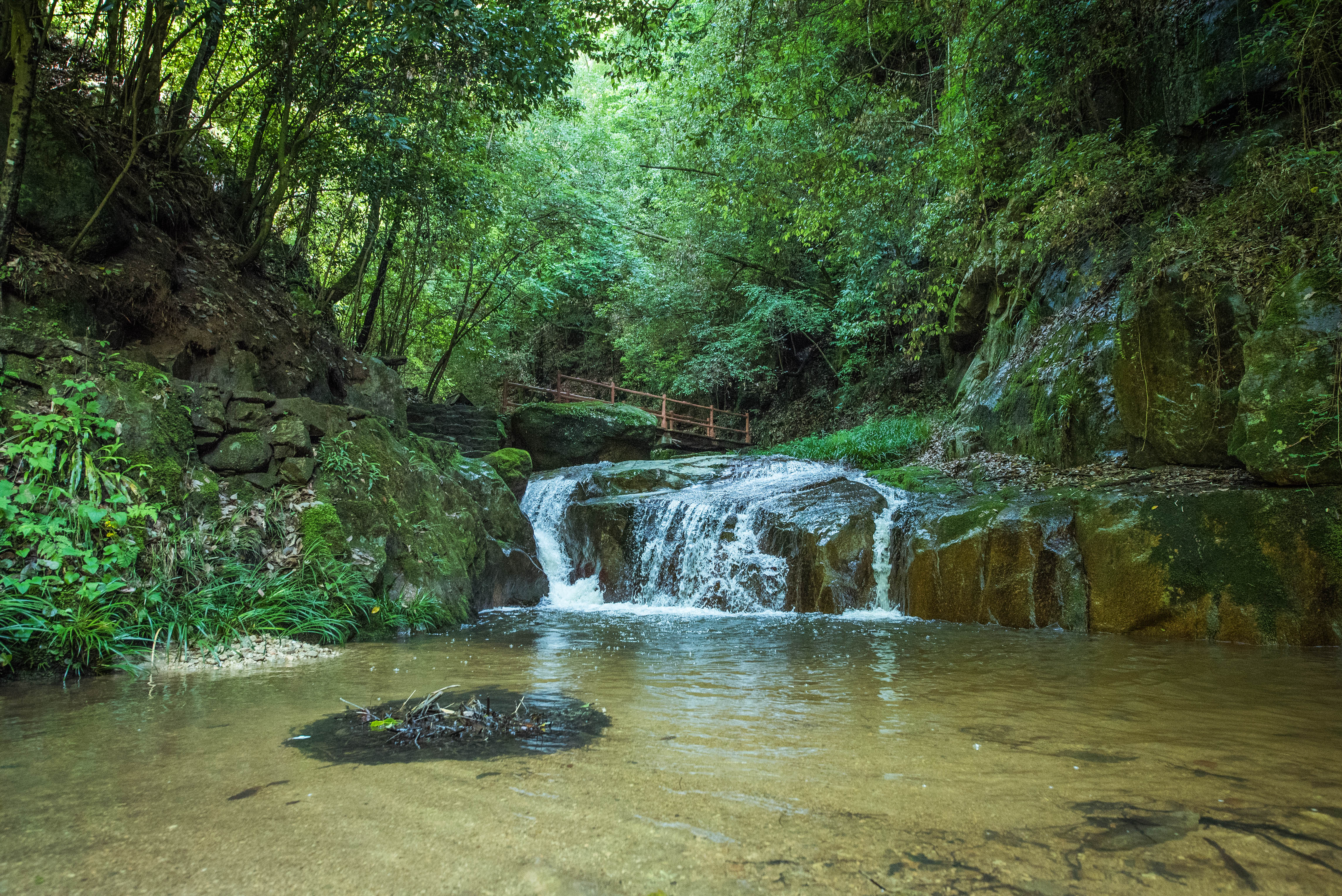 蒼龍峽森林公園