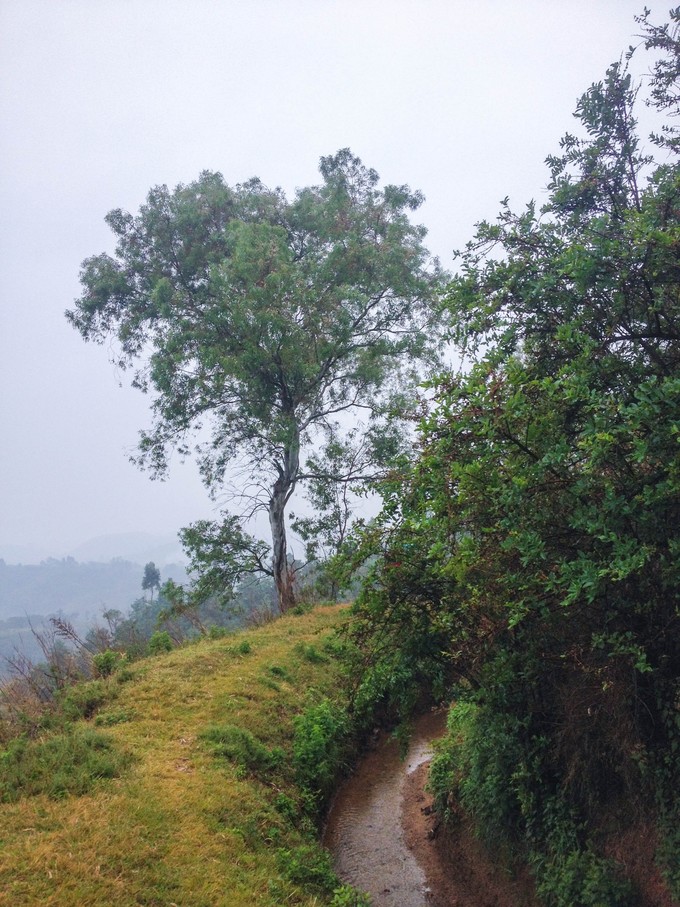 英雄渠(雲南省宜良縣)