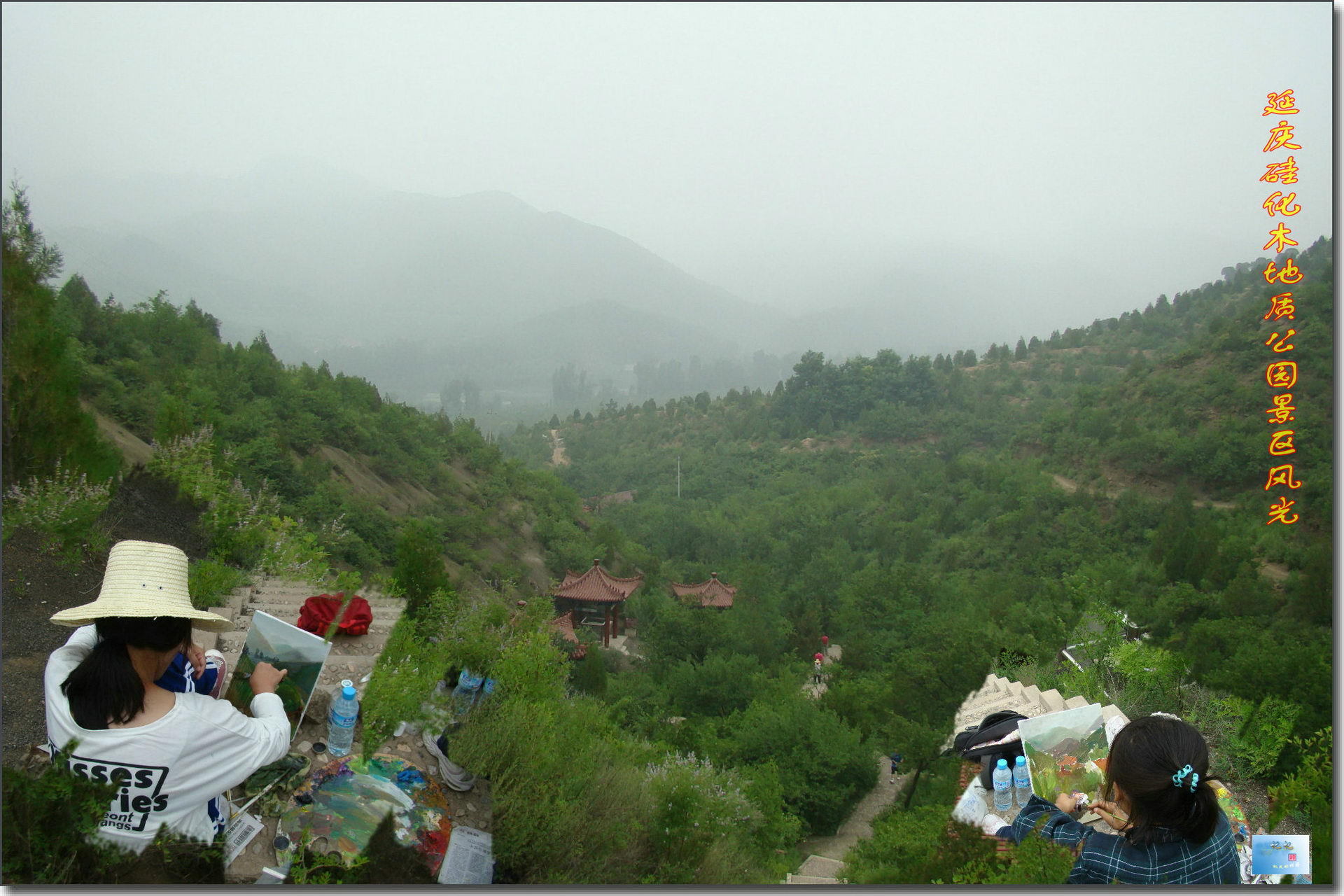 矽化木國家地質公園