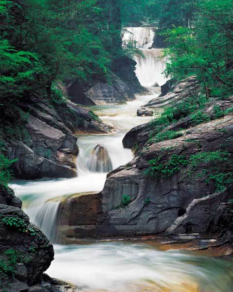 河南雲台山國家森林公園