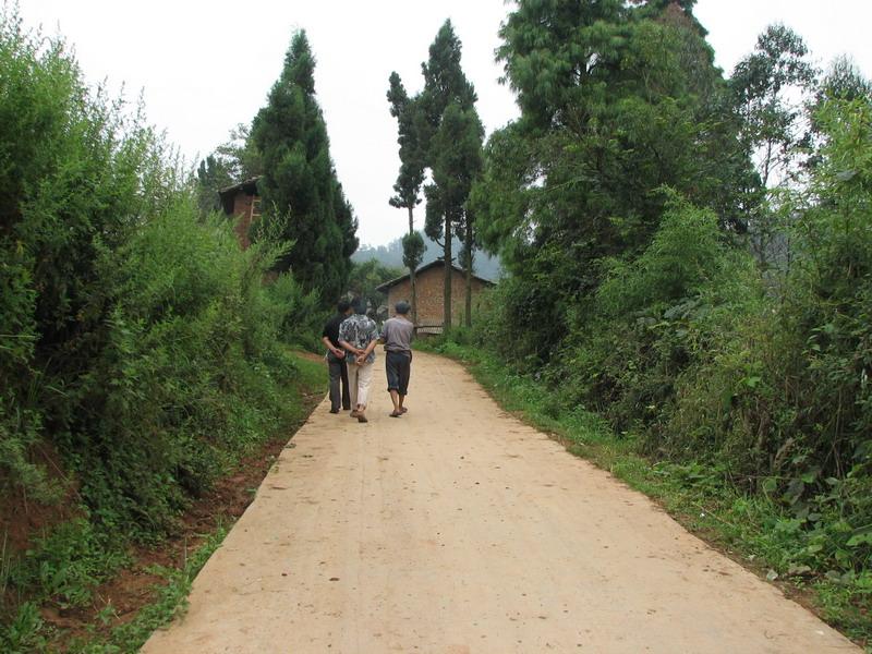 進村道路