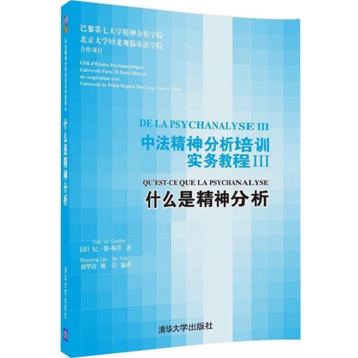 中法精神分析培訓實務教程III：什麼是精神分析