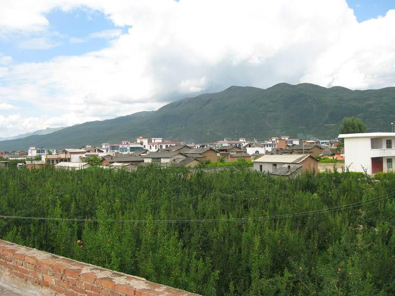 魏家寨村(雲南省紅河州蒙自縣文瀾鎮下轄村)