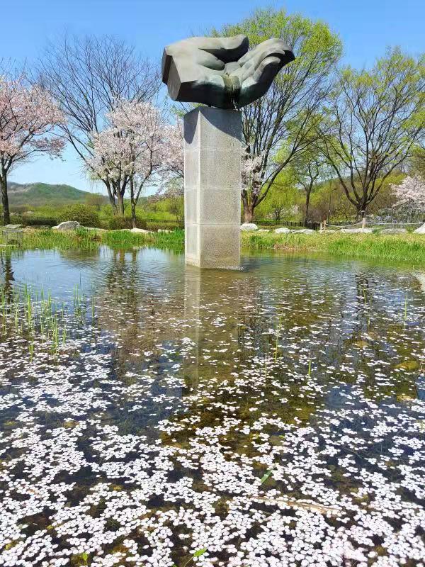 曾岳(中國四川籍藝術家)