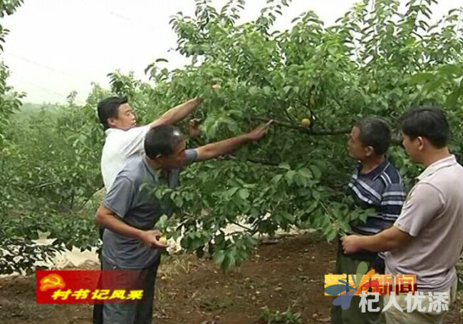 掌平窪村