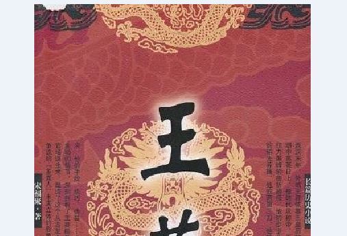 王莽(2010年華夏出版社出版的圖書)