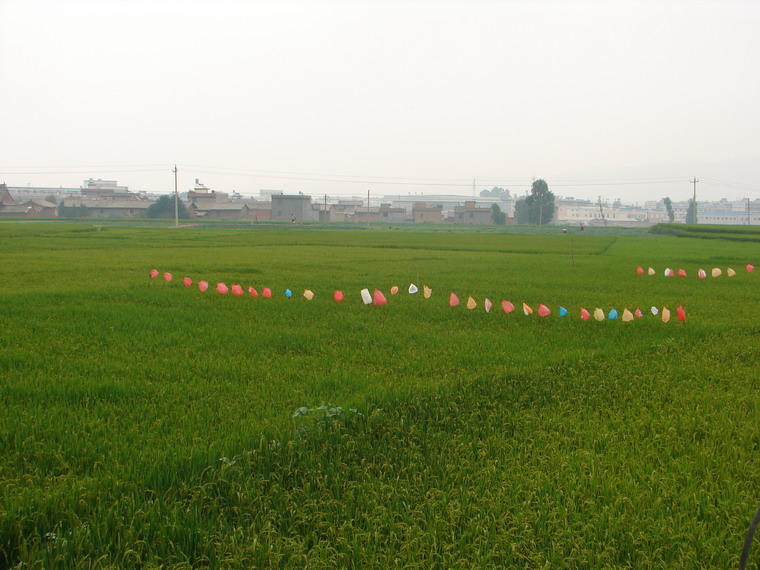 飲泉村