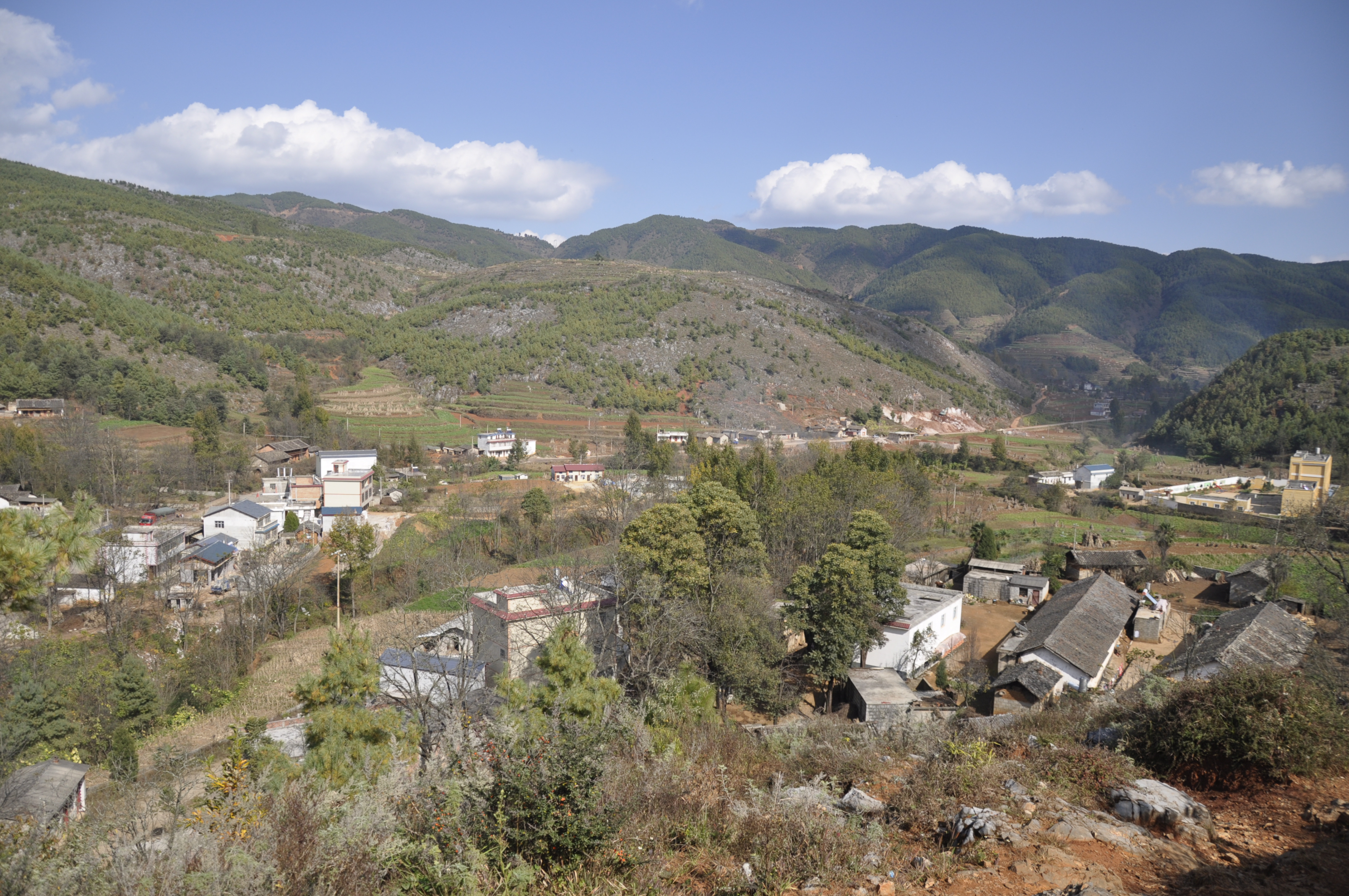 小坡村(雲南省曲靖市會澤縣上村鄉小坡村)