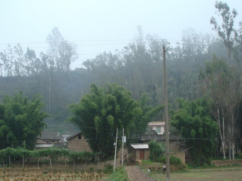 王德橋村