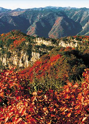 仙台山風景區