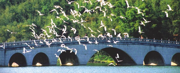 生態樂園