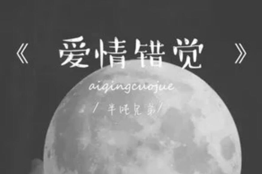 愛情錯覺(半噸兄弟演唱的歌曲)