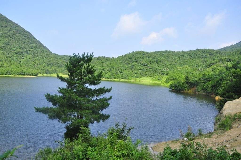 夾河村(山東濰坊市譚坊鎮下轄村)