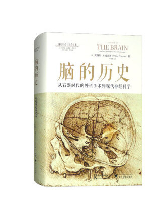 腦的歷史：從石器時代的外科手術到現代神經科學