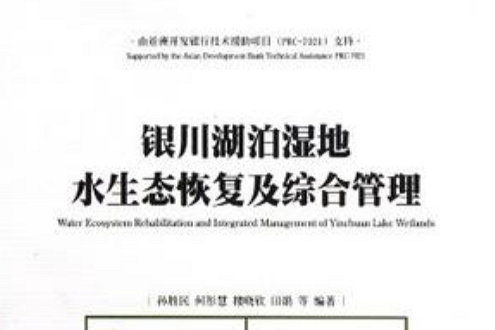 銀川湖泊濕地水生態恢復及綜合管理