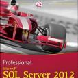 Professional Microsoft SQL Server 2012 Integration Services