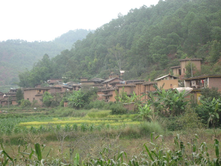 岔河村(易門縣銅廠鄉銅廠村民委員會下轄村)