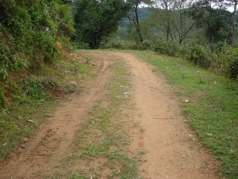 進村道路