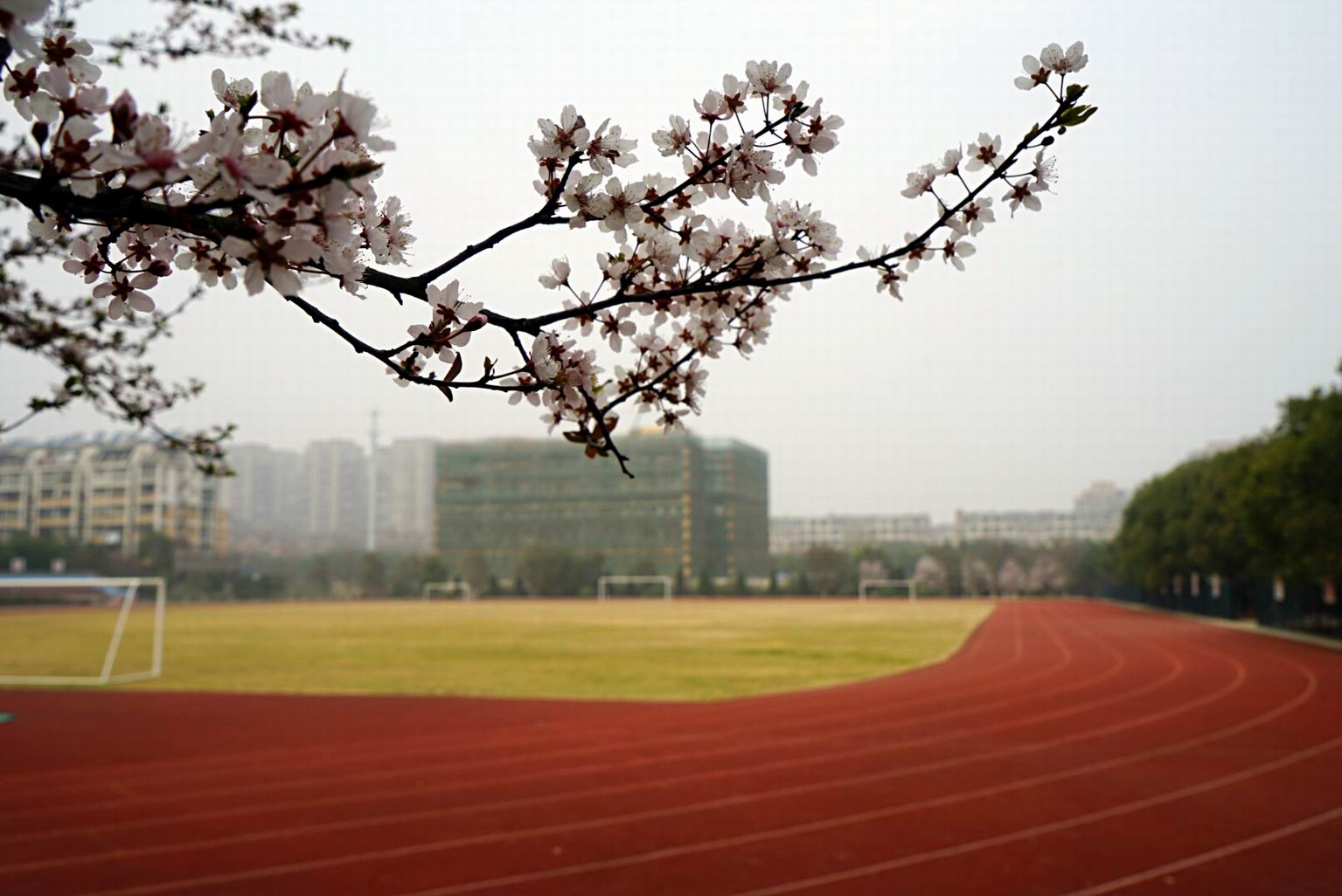 德清二中運動場