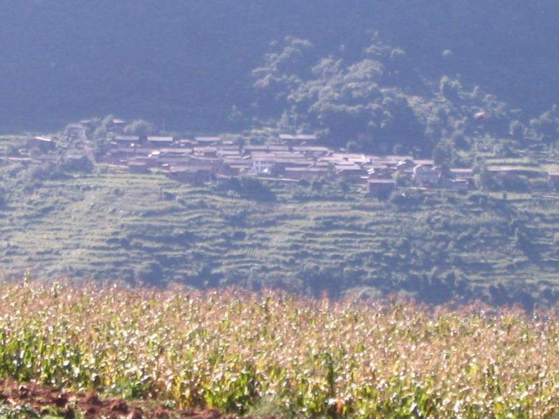 營盤村(雲南省楚雄武定縣白路鄉營盤村)