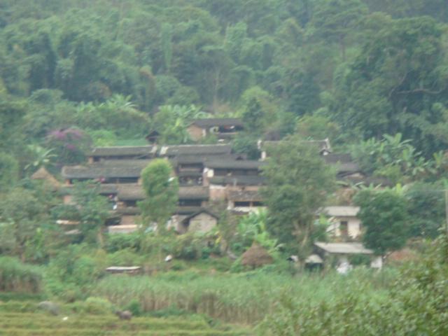 丁怕自然村(雲南省普洱市新安鄉下轄村)