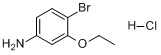 4-溴-3-乙氧基苯胺鹽酸鹽