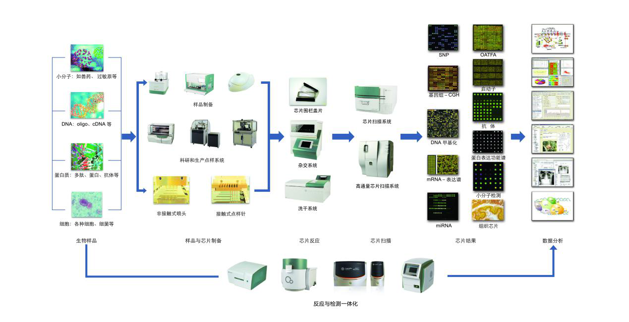 北京博奧晶典生物技術有限公司