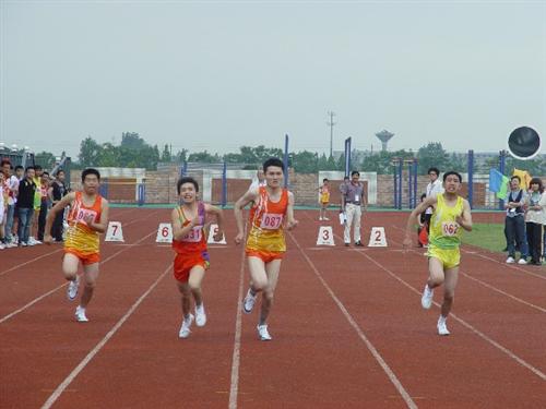 學校田賽運動的組織編排（下）