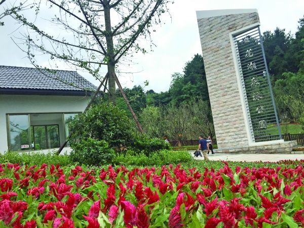 百花湖森林公園