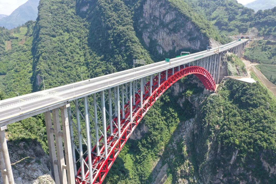 白水江特大橋