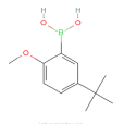 5-叔-丁基-2-甲氧基苯硼酸