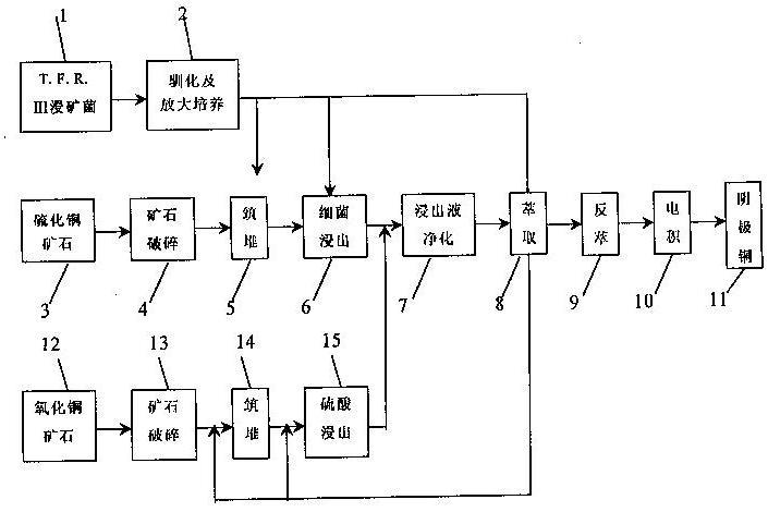 銅礦石的聯合堆浸工藝