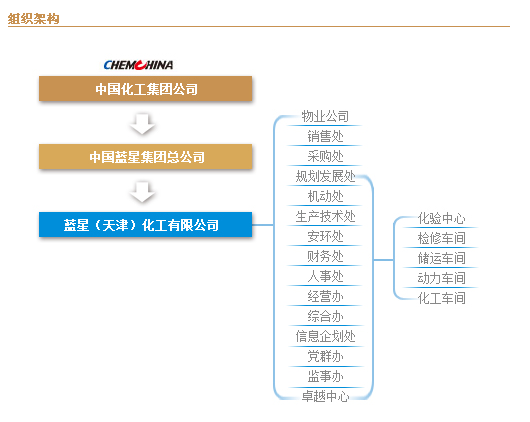 藍星化工新材料股份有限公司天津分公司