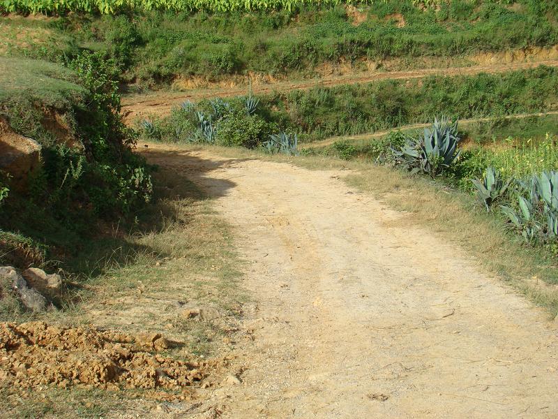 花山自然村通村道路