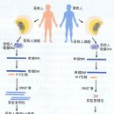 絨毛膜癌症