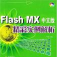 Flash MX中文版精彩實例解析