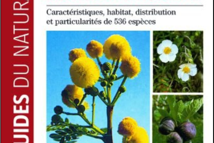 Guide de la flore méditerranéenne