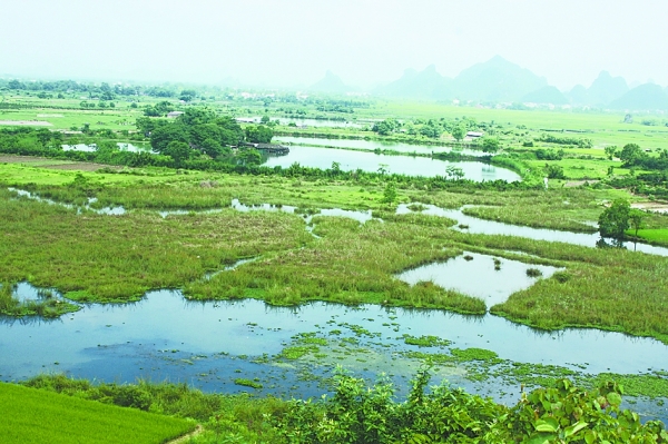 圍湖造田