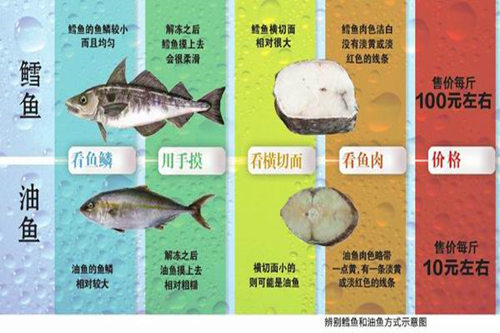 油魚