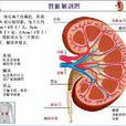 亨諾·許蘭綜合徵