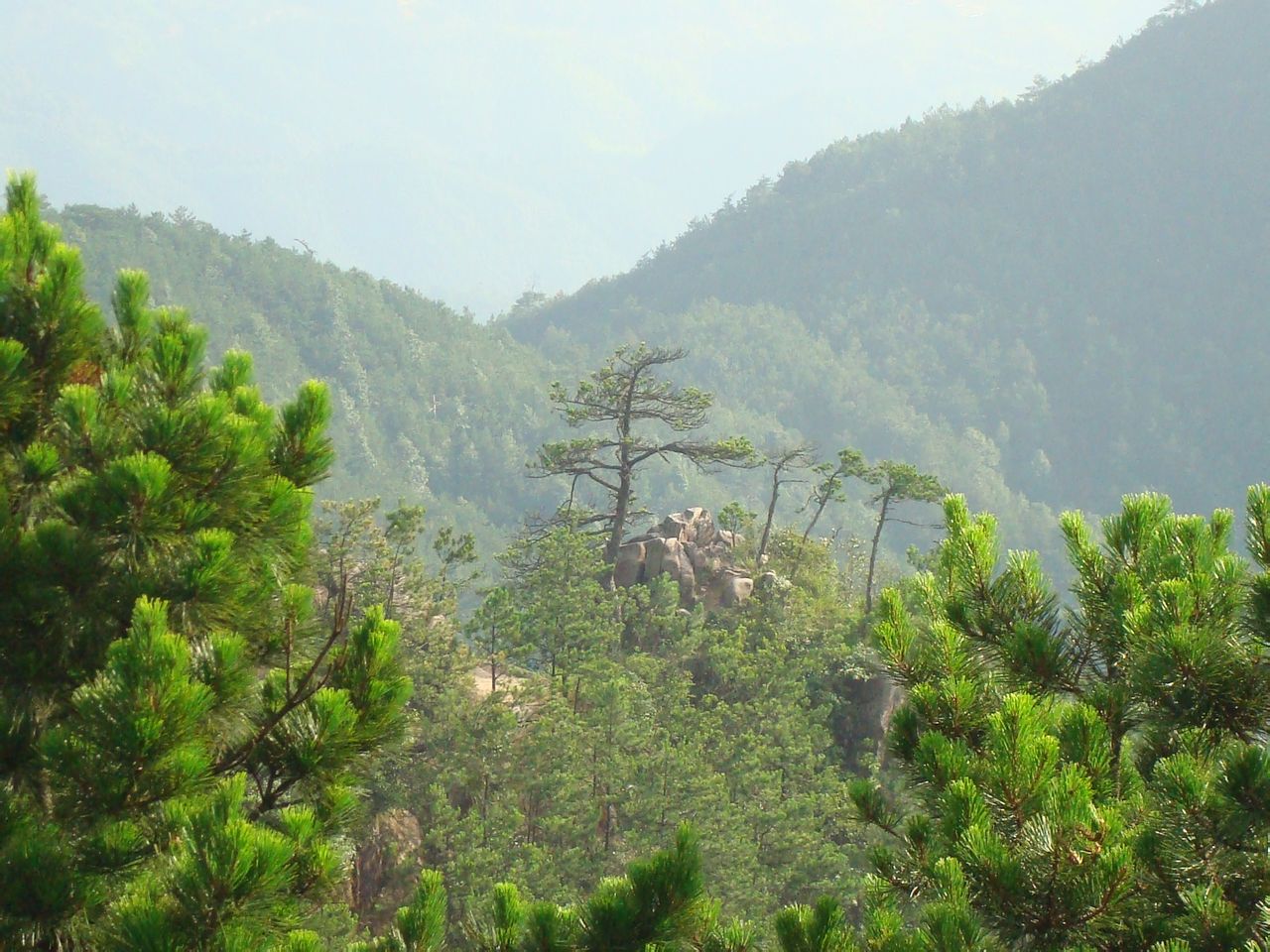 高岳村