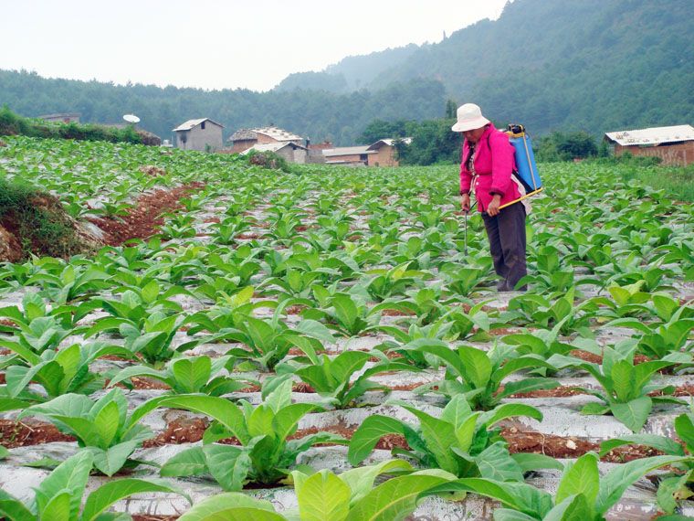 龍虎山村